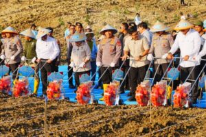 Tanam Jagung Serentak, Jenderal Sigit: Polri Siap Kawal Kedaulatan Pangan!